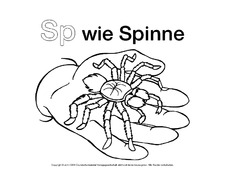 Sp-wie-Spinne-4.pdf